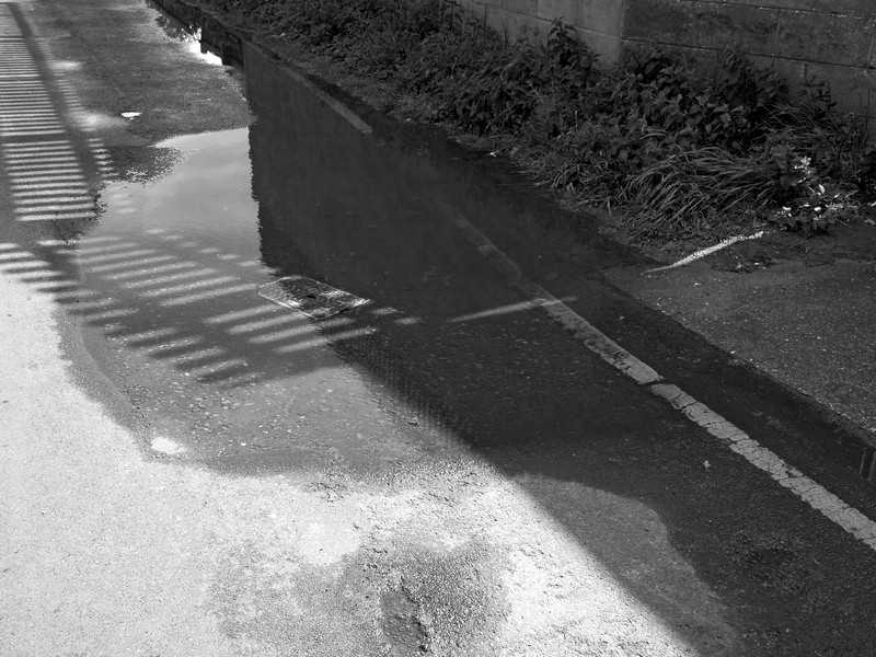 Shadows of railings in a puddle
